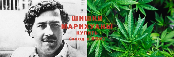 ешки Алзамай