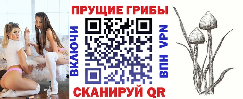 Галлюциногенные грибы Cubensis  Новомичуринск 