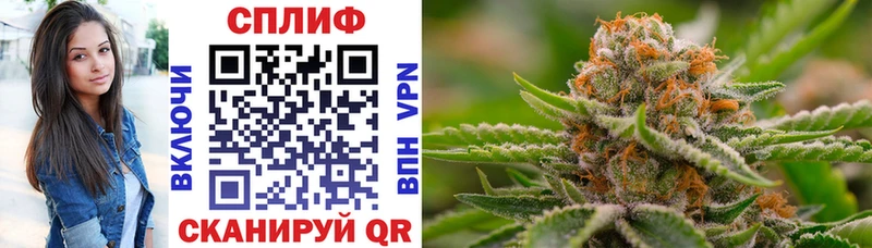 Каннабис Ganja Новомичуринск